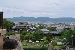 20240512-08.JPG