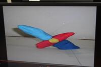 20240713-11.JPG