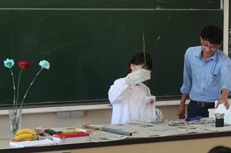 2-IMG_5106N.JPG