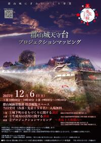 projection mapping 2025.jpg