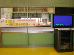 180204-009.jpg