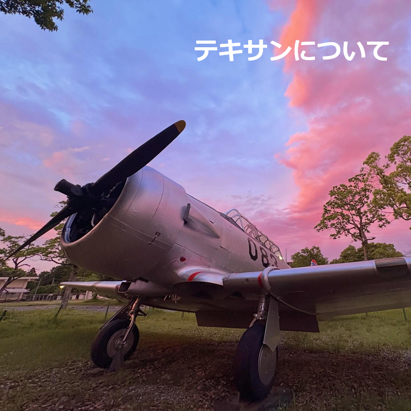 テキサンについて