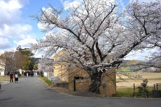 第62回入学式・第34回専攻科入学式を挙行