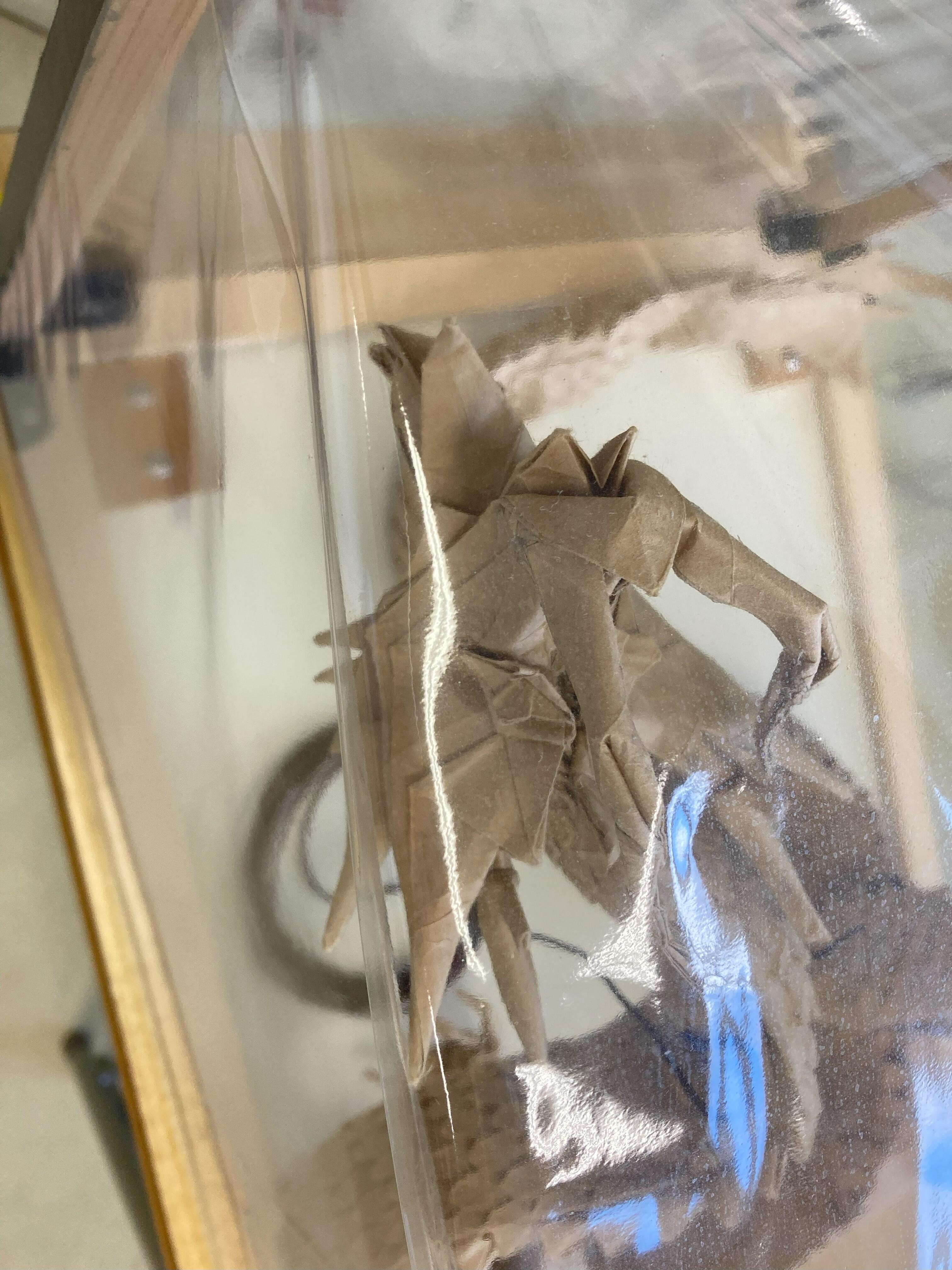 高専祭にて折り紙の展示