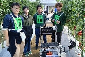 tomatorobot1.jpg