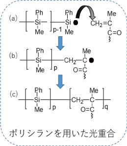 研究開発の概要