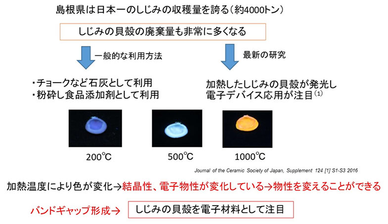 研究開発の概要