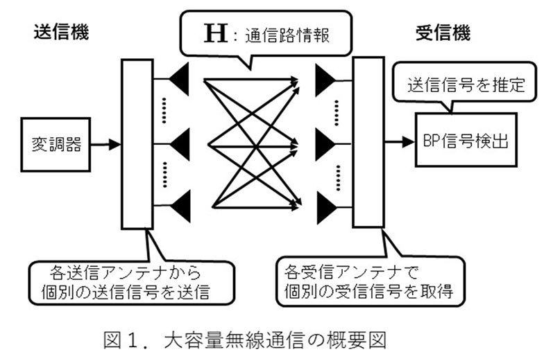 研究開発の概要