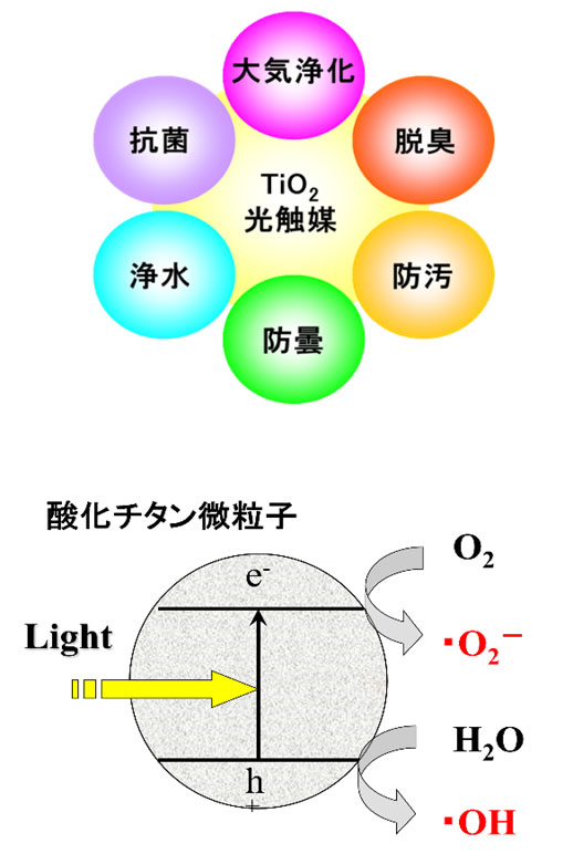 研究開発の概要