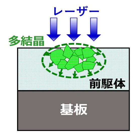 研究開発の概要