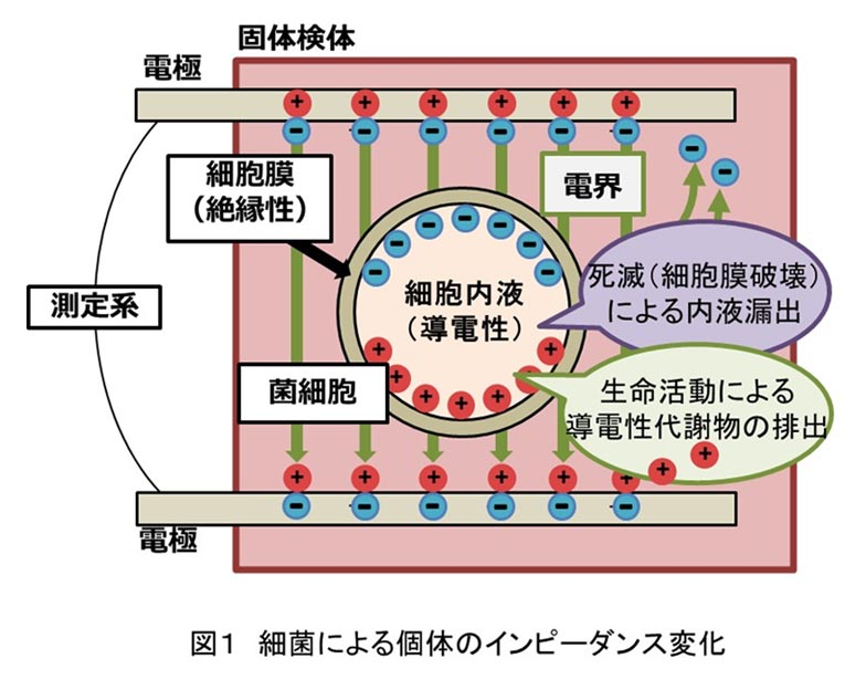 研究開発の概要