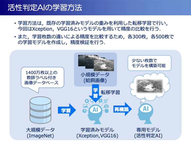 研究開発の概要