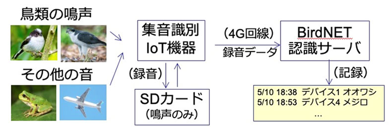 研究開発の概要