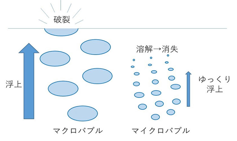 研究開発の概要