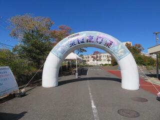IMG_3348.jpg