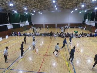 IMG_5063.jpg