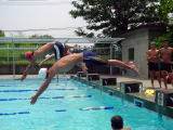 swimming1.jpg